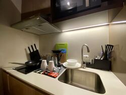 Mount Elizabeth Link (D9), Condominium #585130601